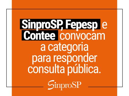 Consulta Pública